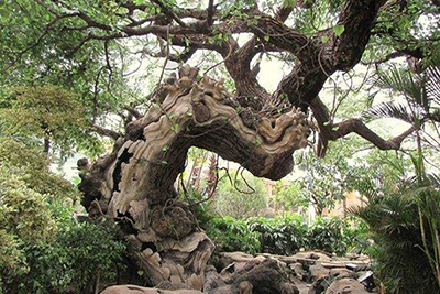 人造水泥仿真树